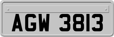 AGW3813