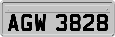 AGW3828
