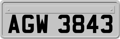 AGW3843