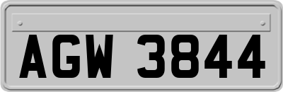 AGW3844
