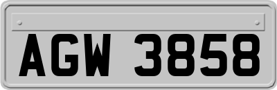 AGW3858