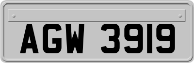 AGW3919