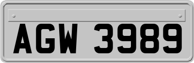 AGW3989