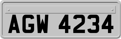 AGW4234
