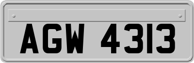 AGW4313