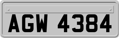 AGW4384