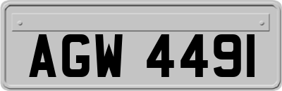 AGW4491