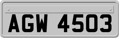 AGW4503