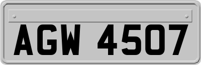 AGW4507