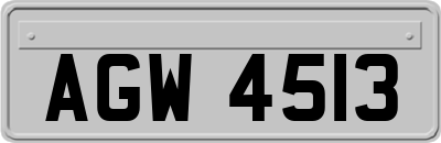AGW4513