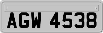 AGW4538