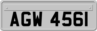 AGW4561