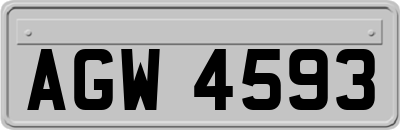 AGW4593