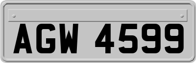 AGW4599