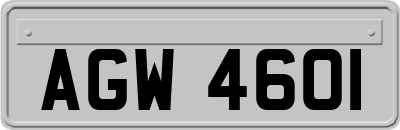 AGW4601