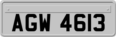 AGW4613