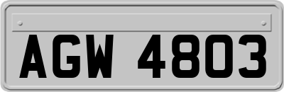 AGW4803