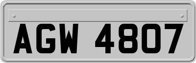 AGW4807