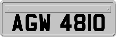 AGW4810