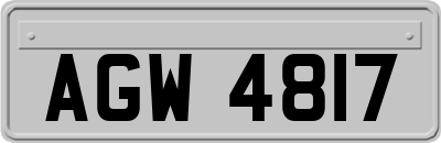 AGW4817