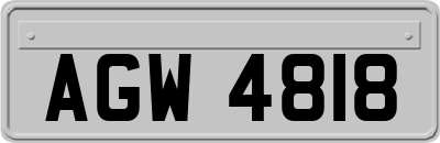 AGW4818