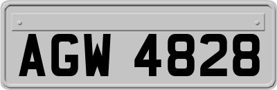 AGW4828