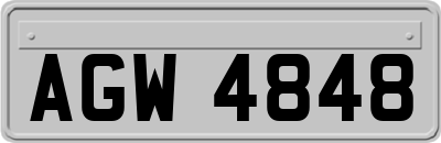 AGW4848