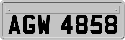 AGW4858