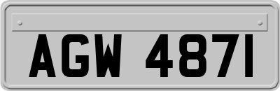 AGW4871