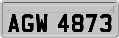 AGW4873