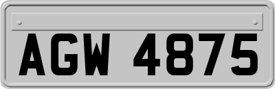 AGW4875