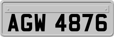 AGW4876