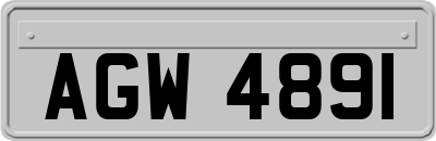 AGW4891
