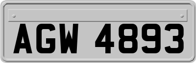 AGW4893