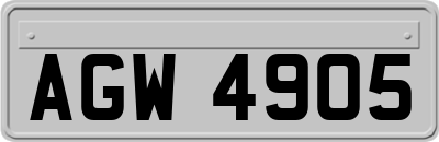 AGW4905