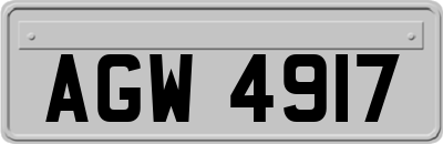 AGW4917