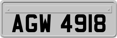 AGW4918
