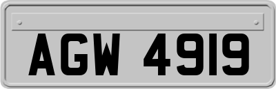 AGW4919