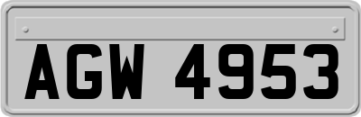 AGW4953