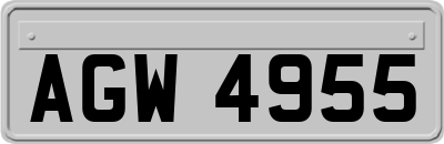 AGW4955