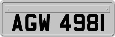 AGW4981