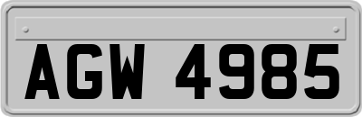AGW4985