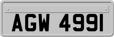 AGW4991