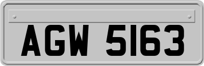 AGW5163