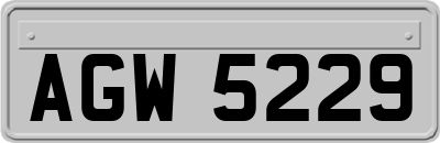 AGW5229