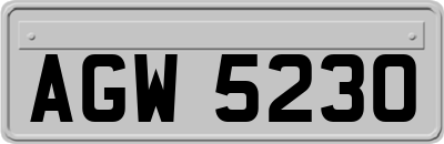 AGW5230