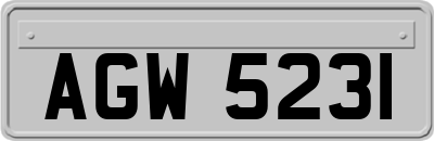 AGW5231