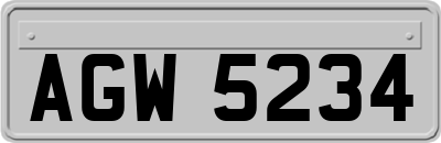AGW5234
