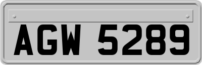 AGW5289