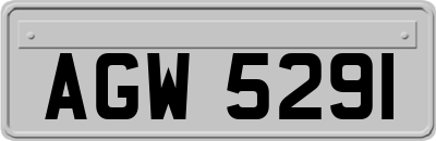 AGW5291